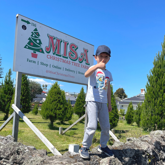 Click and Collect Christmas Trees Auckland Misa Christmas Trees